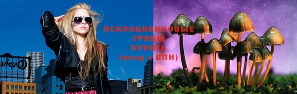 хмурый Вязники